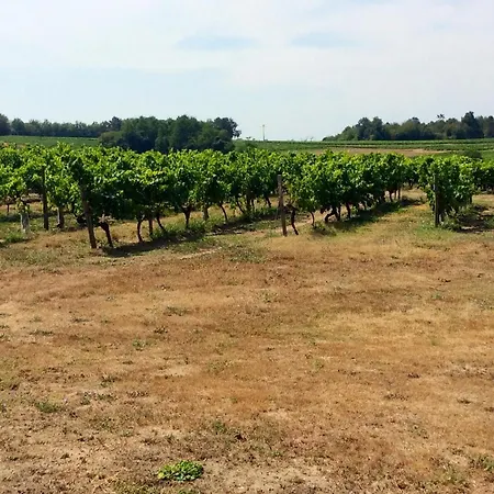 Prázdninový dům Maison De 3 Chambres Avec Jardin Clos Et Wifi A Bonnet Sur Gironde Saint-Bonnet-sur-Gironde